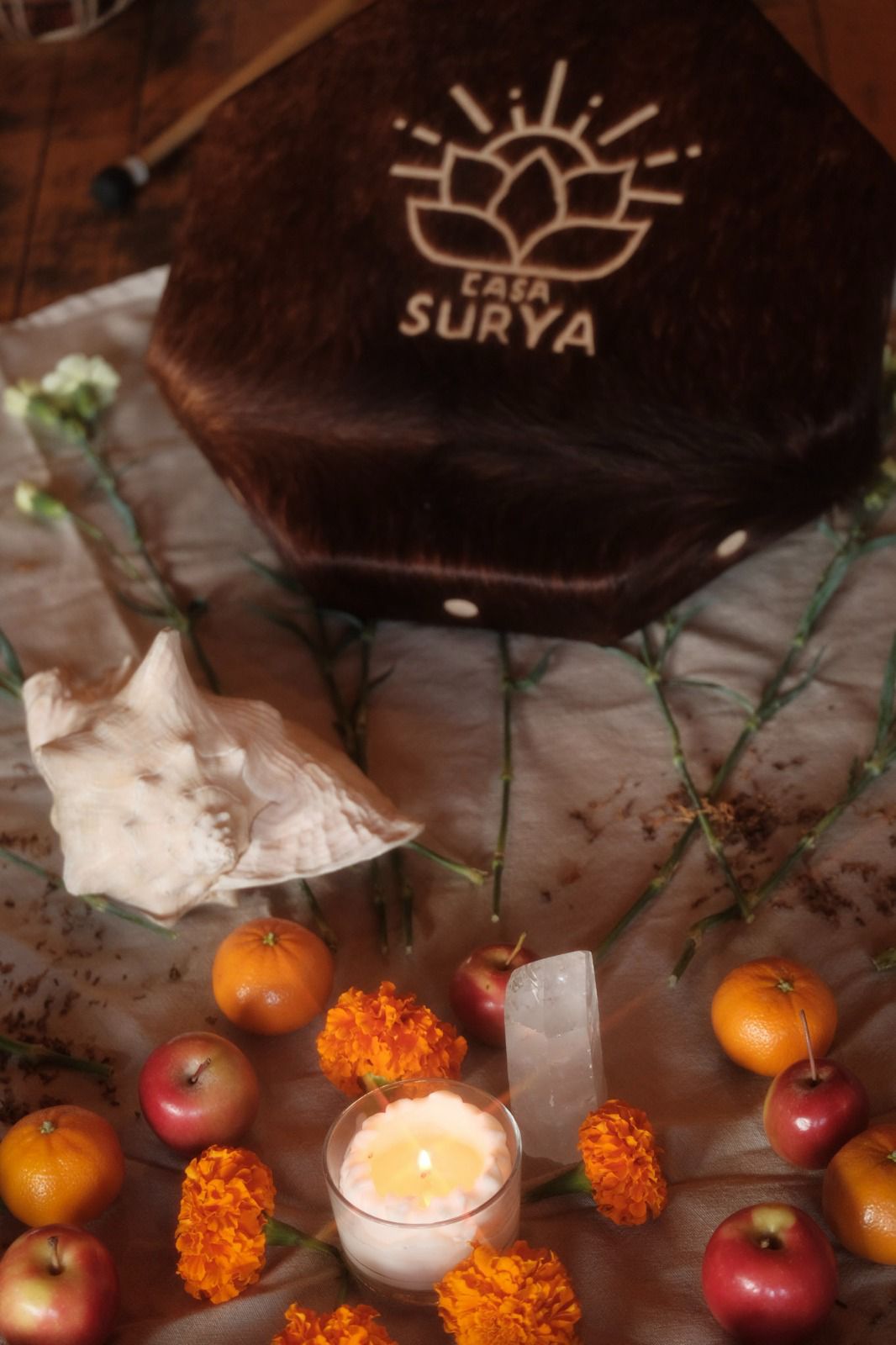 Galería Casa Surya 80