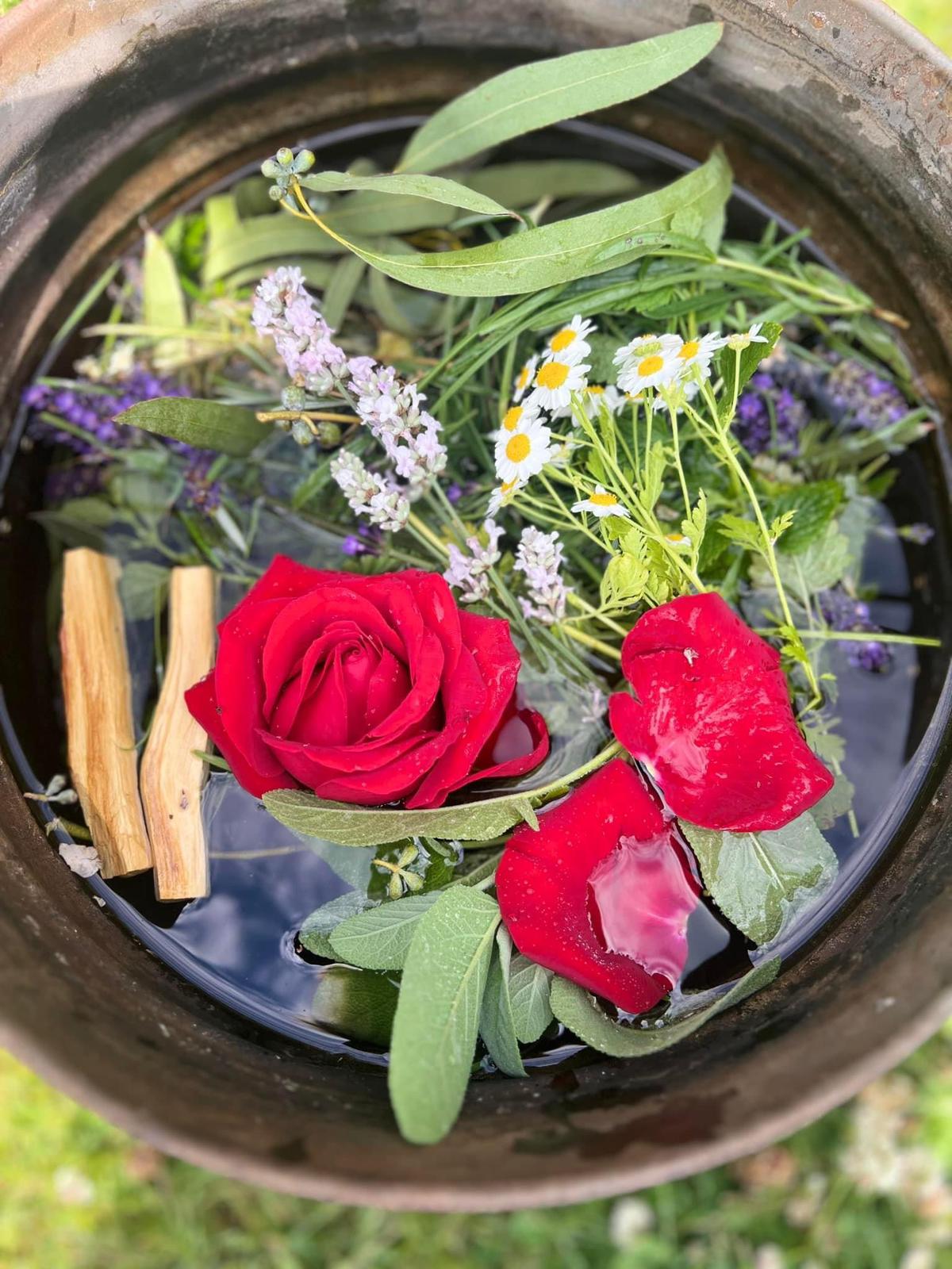 Galería Casa Surya 61