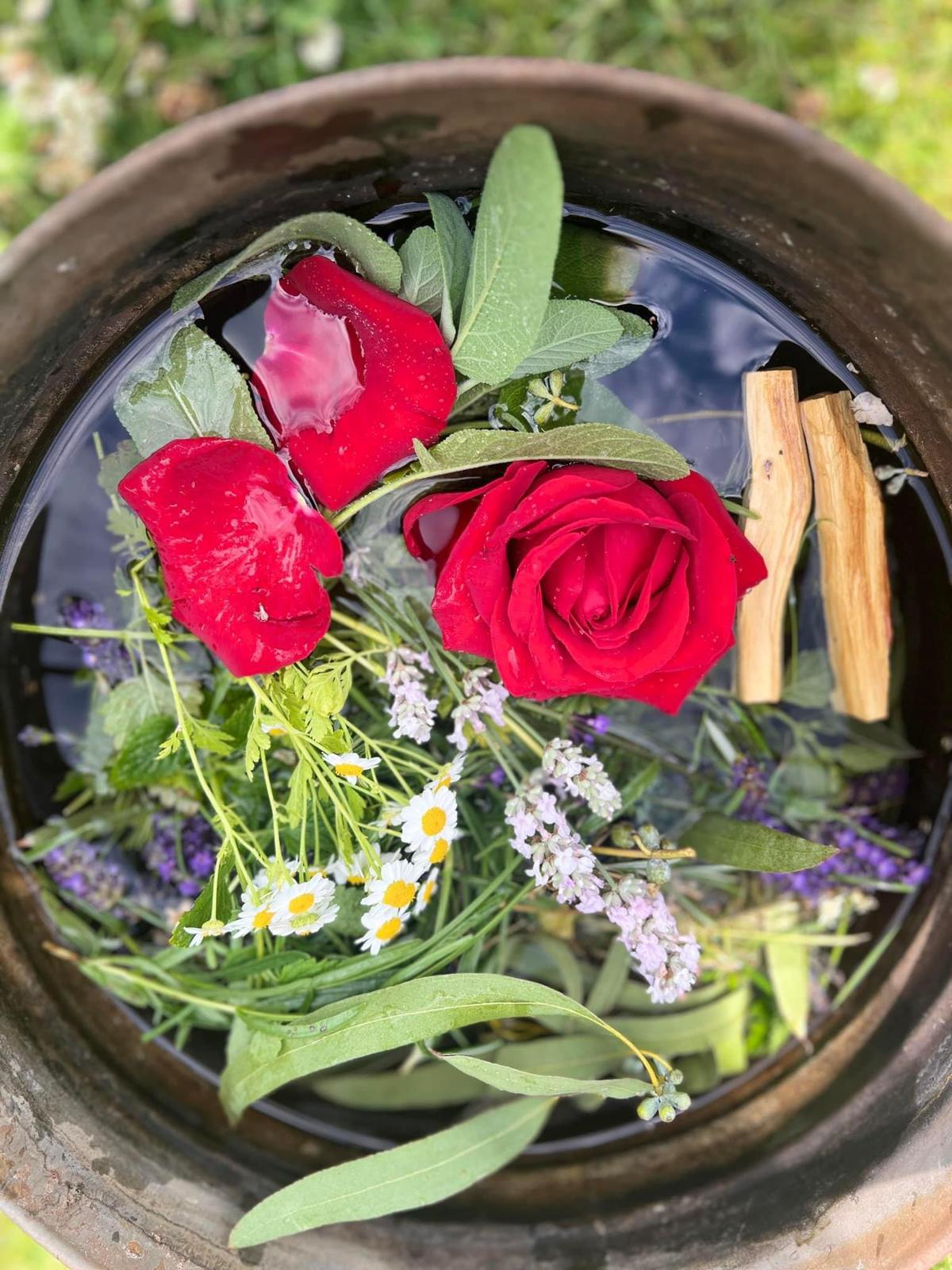 Galería Casa Surya 101