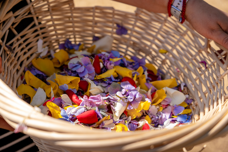 Galería Casa Surya 95