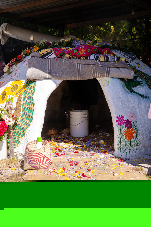 Galería Casa Surya 49