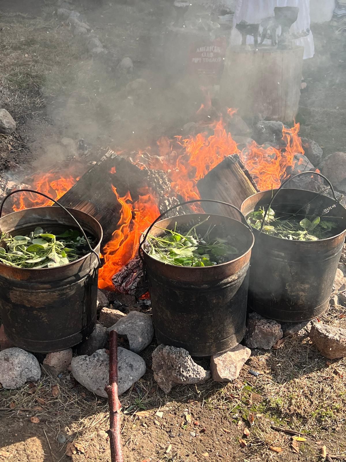 Galería Casa Surya 65