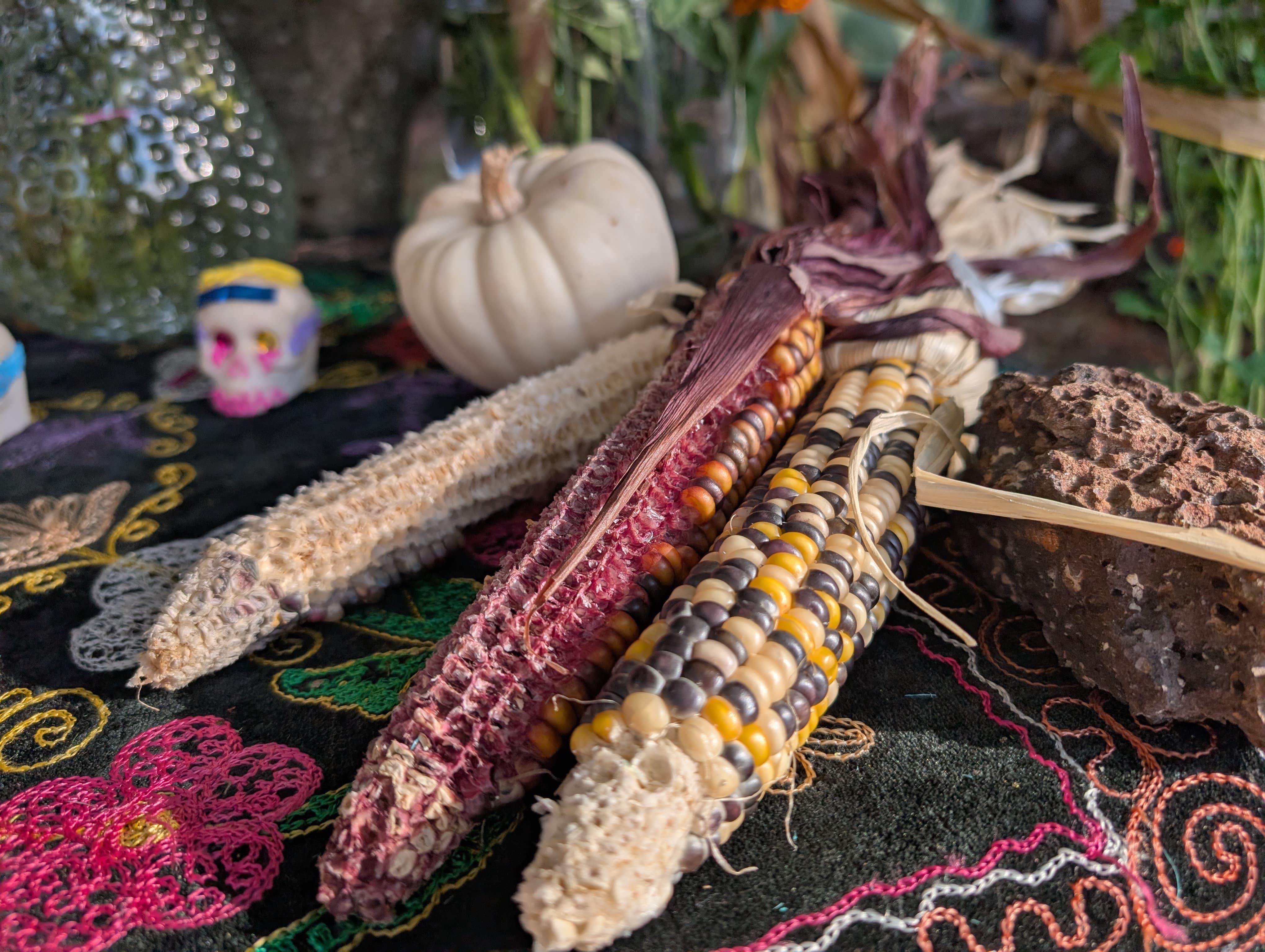 Galería Casa Surya 44