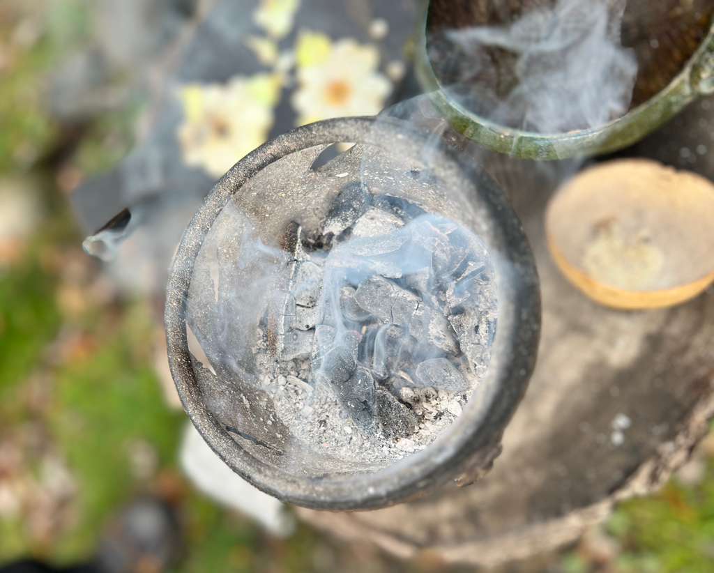 Galería Casa Surya 97