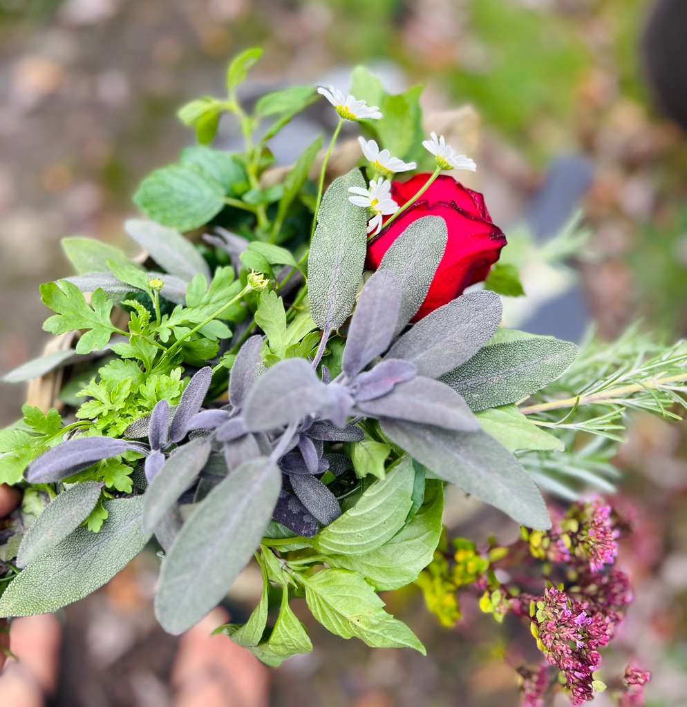 Galería Casa Surya 82