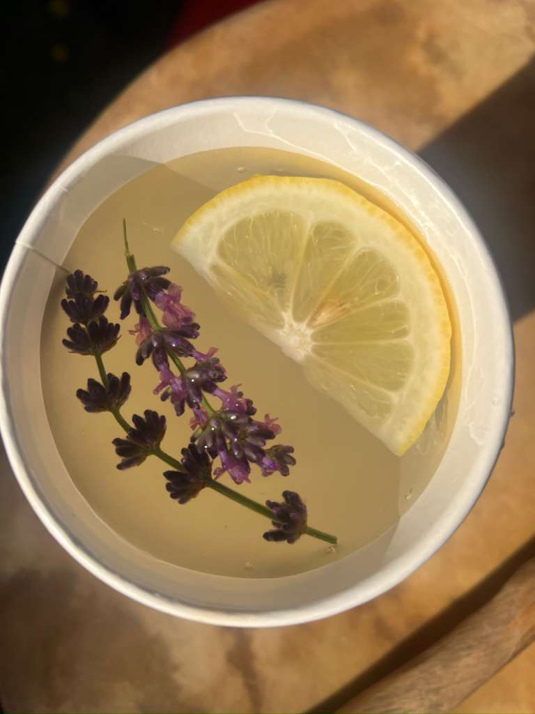 Galería Casa Surya 42