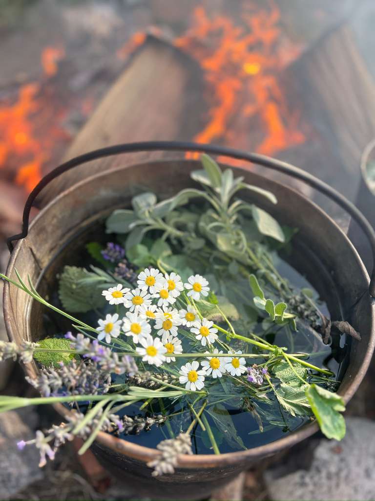 Galería Casa Surya 87