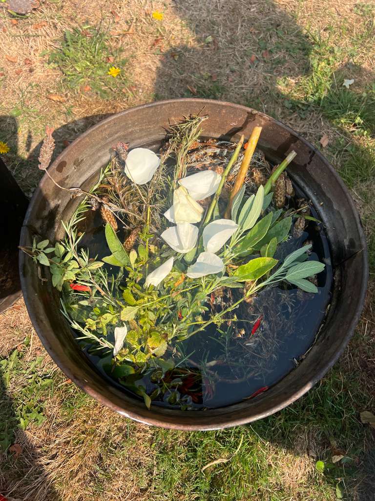 Galería Casa Surya 37