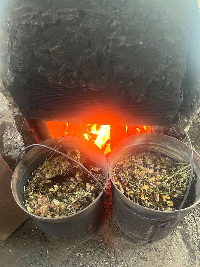 Galería Casa Surya 8