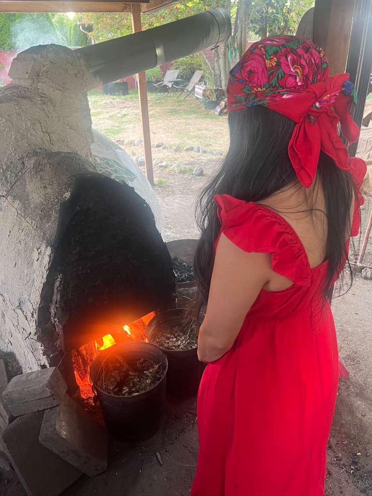 Galería Casa Surya 32