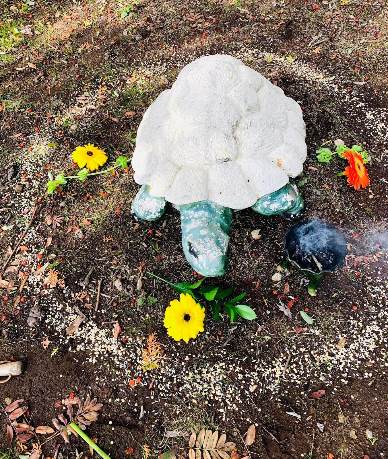 Galería Casa Surya 92